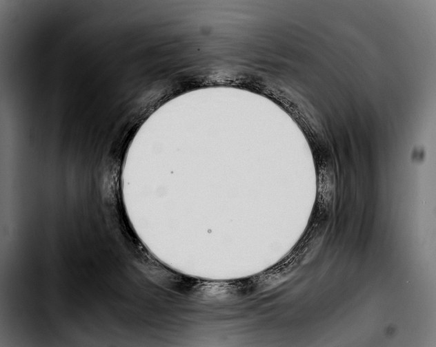 X0000103330127200810171433