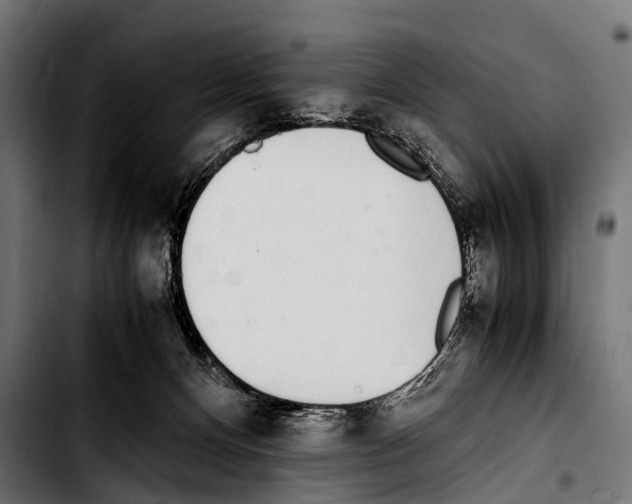 X0000103330128200810171433