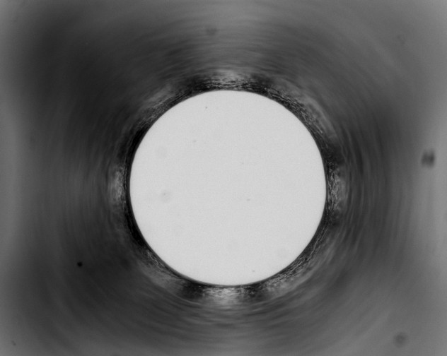 X0000103330131200810171433