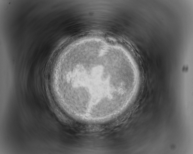 X0000103330145200810171432