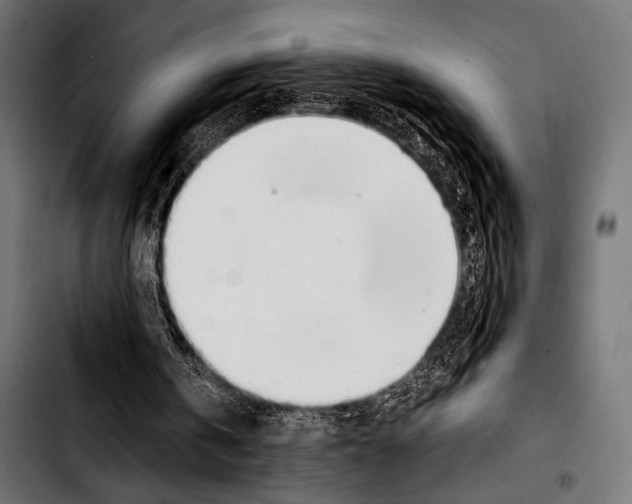 X0000103330146200810171432