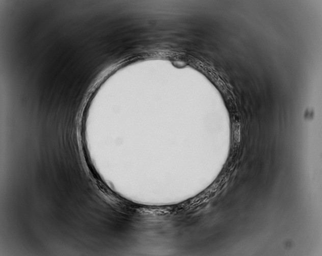 X0000103330147200810171432