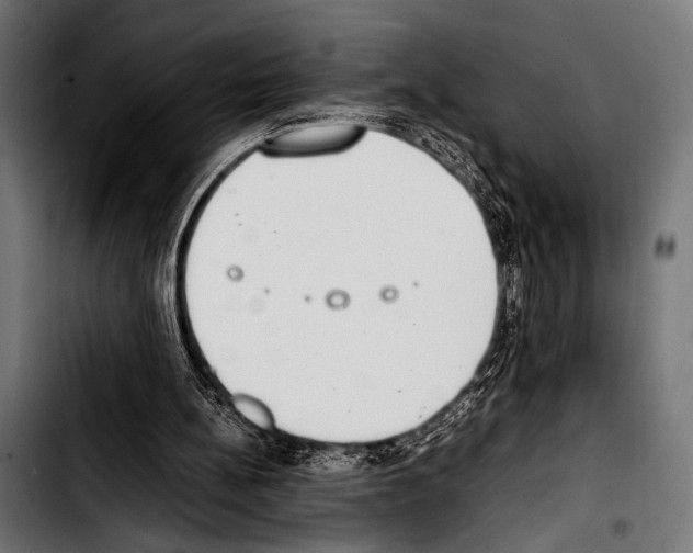 X0000103330148200810171432