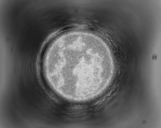 X0000103330149200810171432