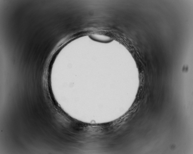 X0000103330150200810171432