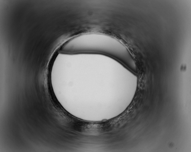 X0000103330152200810171432