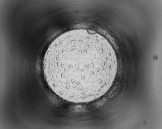 X0000103330153200810171432