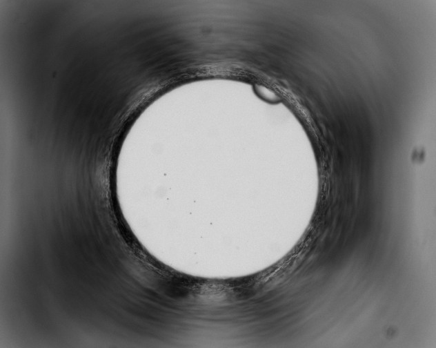 X0000103330154200810171432