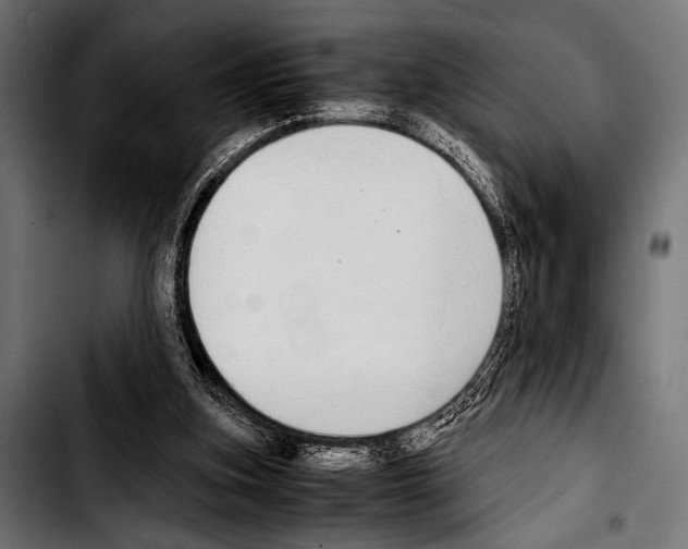 X0000103330155200810171432