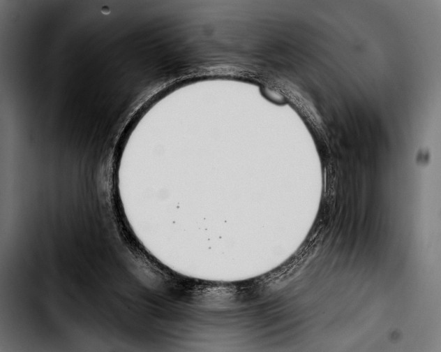 X0000103330156200810171432