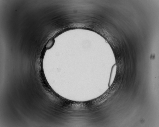 X0000103330160200810171432