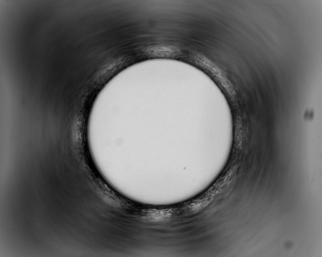 X0000103330161200810171432