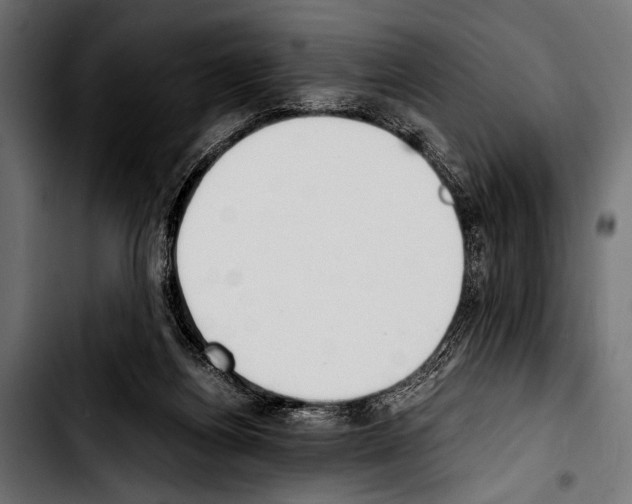 X0000103330164200810171432