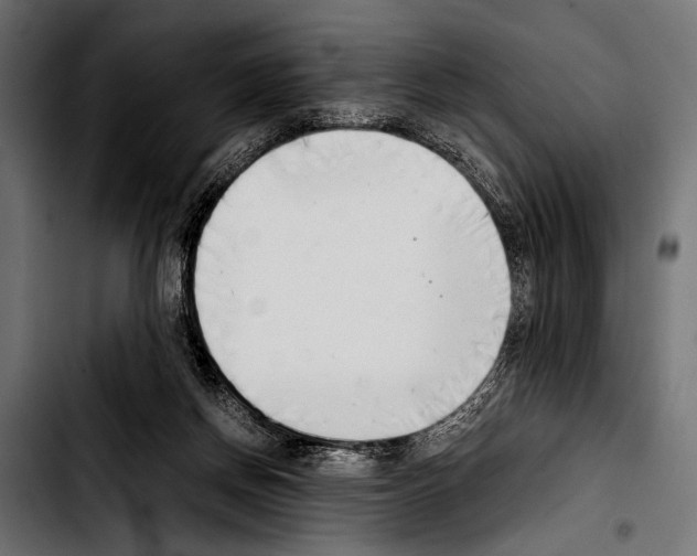 X0000103330166200810171432