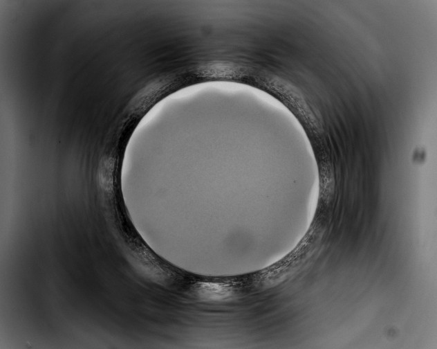 X0000103330167200810171432