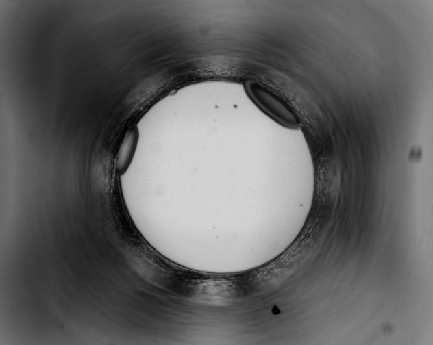 X0000103330168200810171432