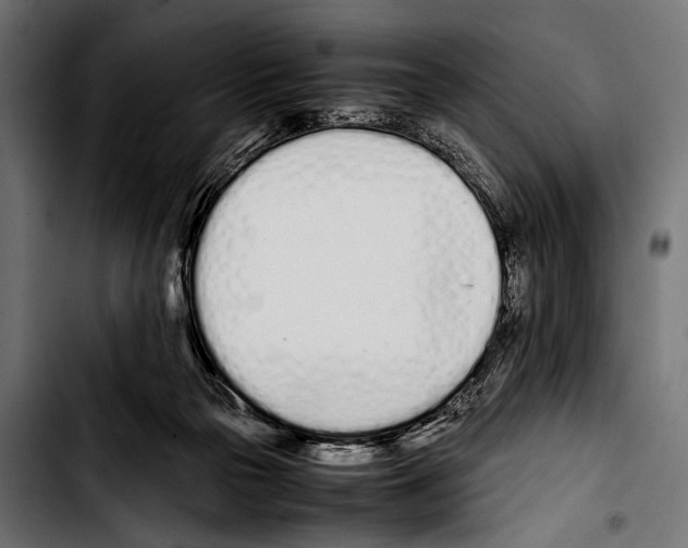 X0000103330169200810171432