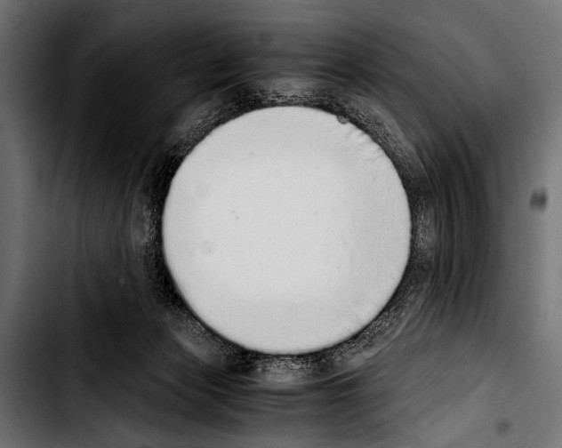 X0000103330173200810171432