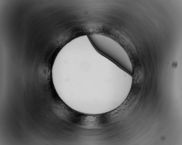 X0000103330176200810171432