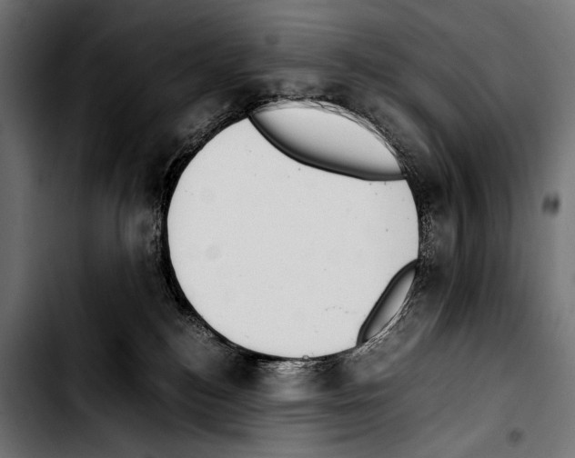 X0000103330184200810171432