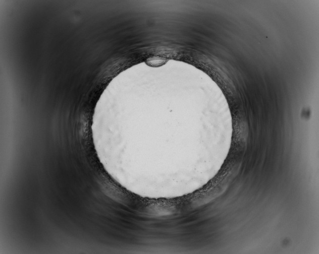 X0000103330185200810171432