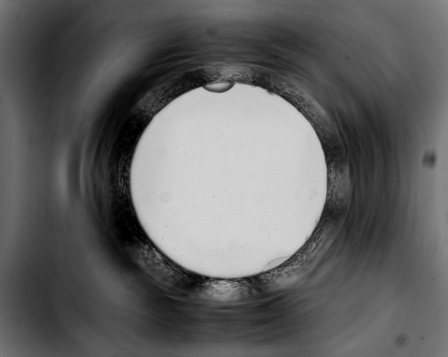 X0000103330189200810171432