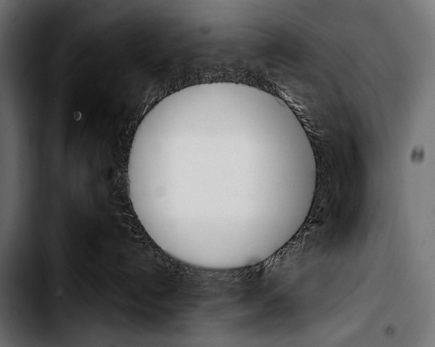 X0000103330192200810171432