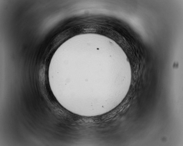 X0000103330194200810171432