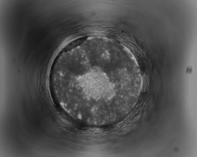 X0000103330195200810171432