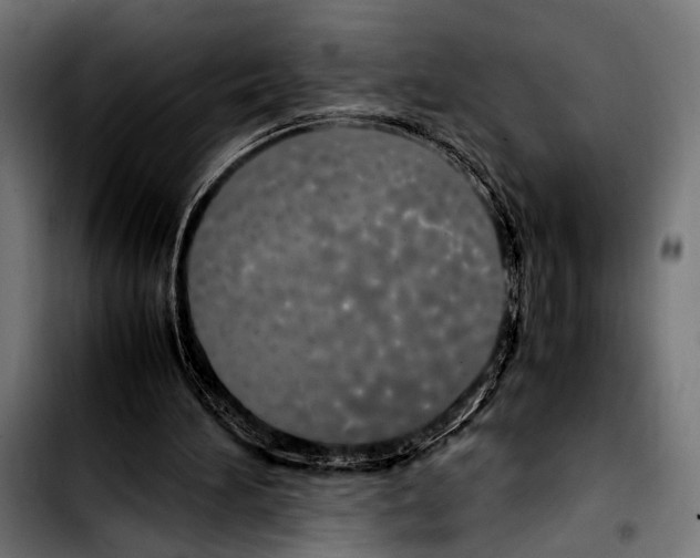 X0000103330196200810171432