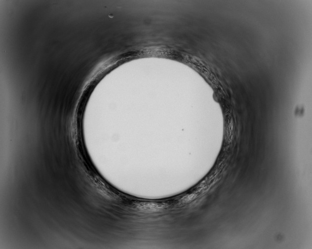 X0000103330198200810171432