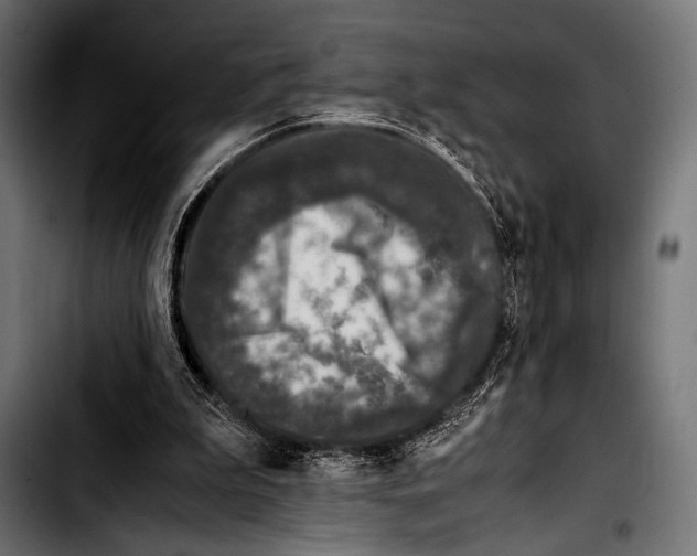 X0000103330199200810171432