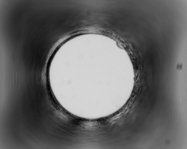 X0000103330200200810171432