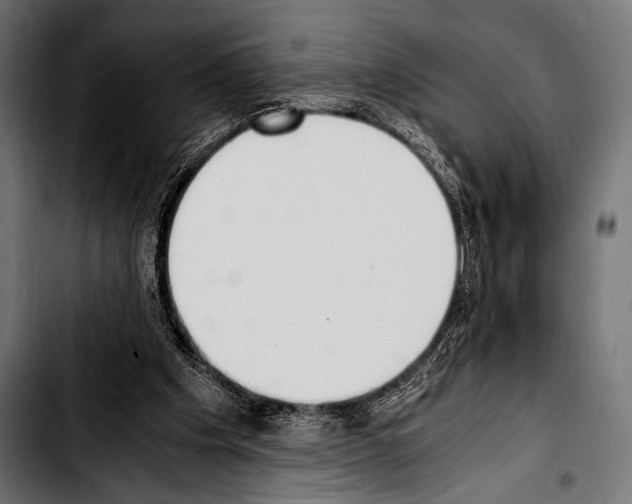 X0000103330201200810171432