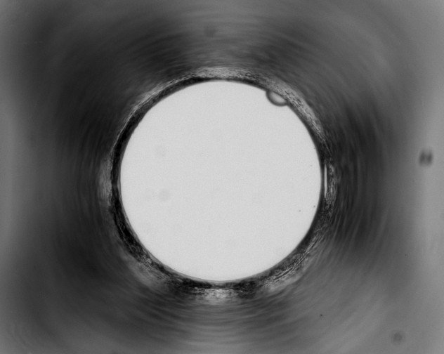 X0000103330204200810171432