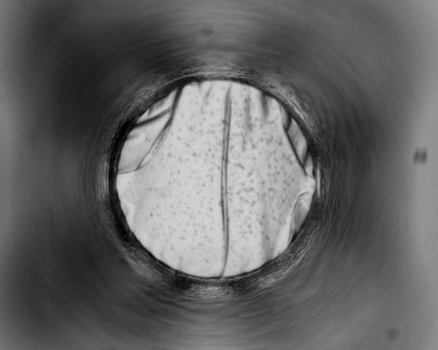 X0000103330205200810171432