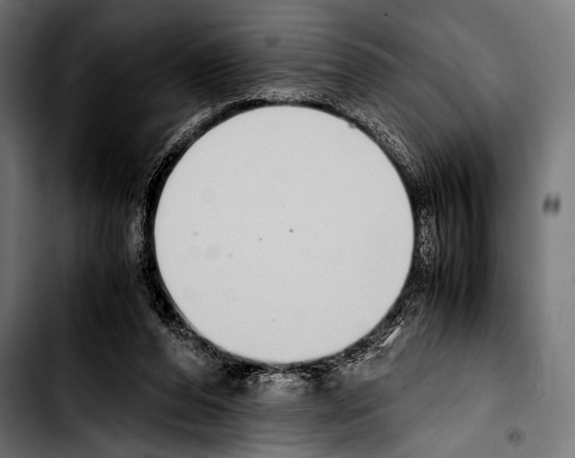 X0000103330208200810171431