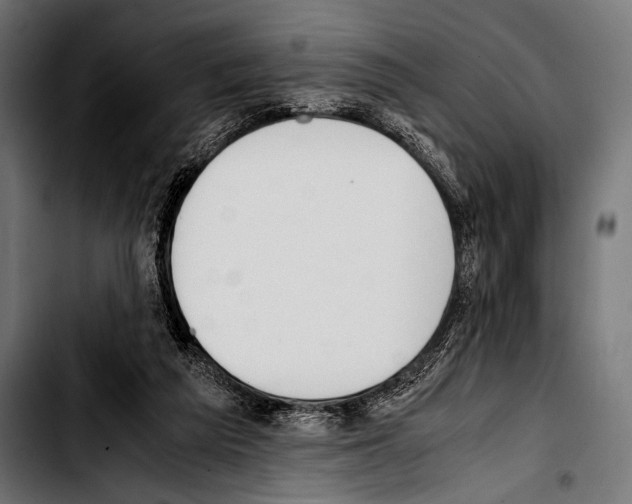 X0000103330209200810171431