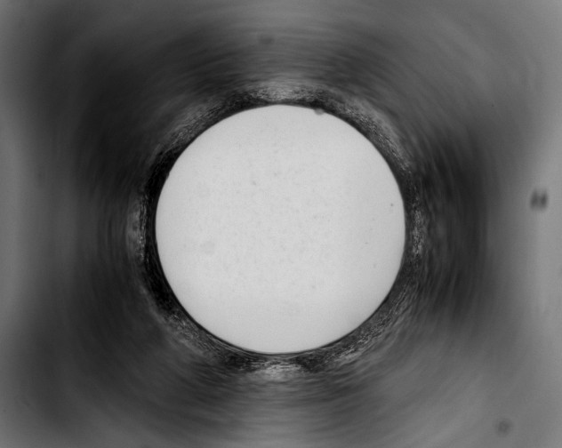 X0000103330210200810171431