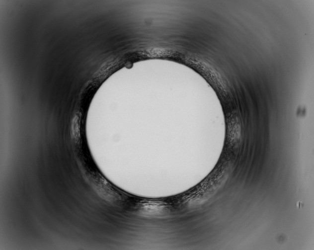 X0000103330214200810171431