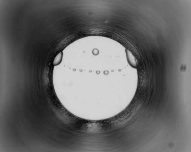 X0000103330216200810171431