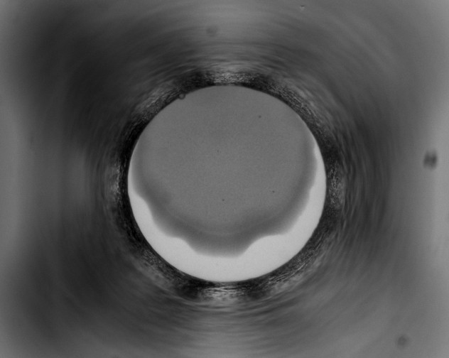 X0000103330219200810171431