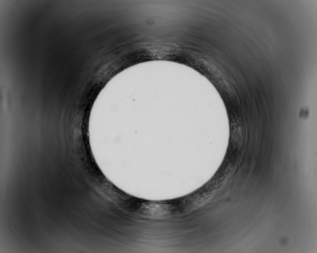 X0000103330221200810171431