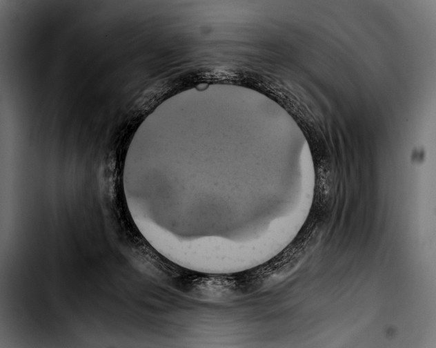 X0000103330223200810171431