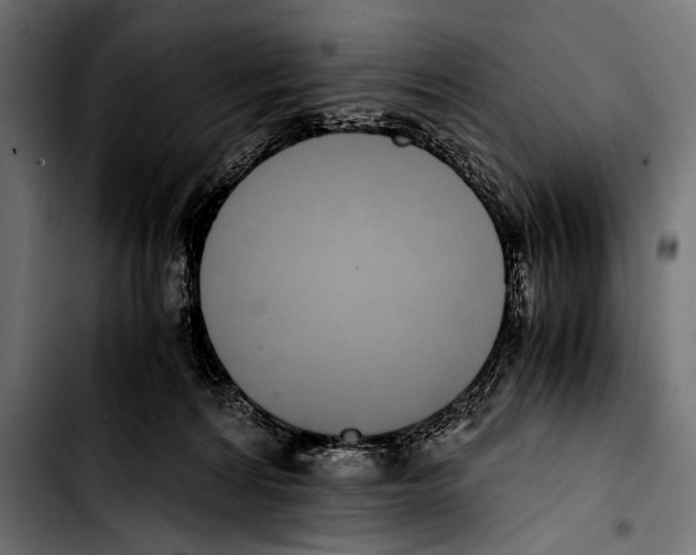 X0000103330224200810171431