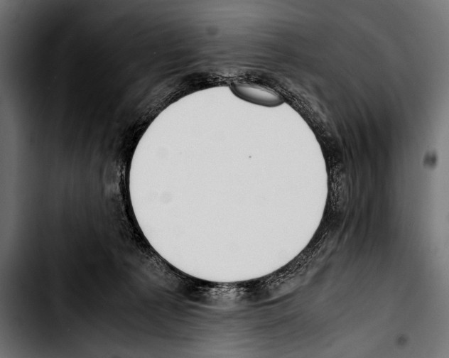 X0000103330225200810171431