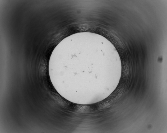 X0000103330226200810171431