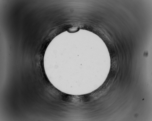 X0000103330229200810171431