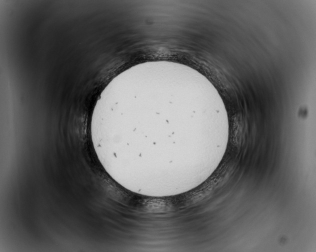 X0000103330230200810171431