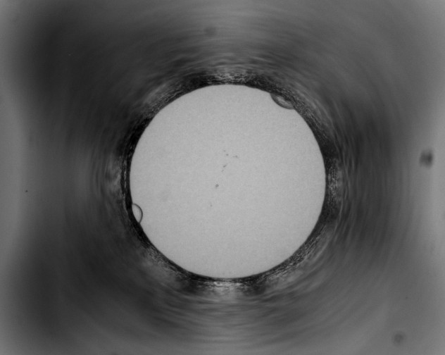 X0000103330233200810171431